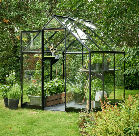 Halls Qube - 6x6