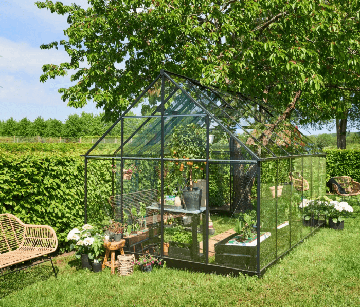 Halls Qube+ 8x12 Greenhouse