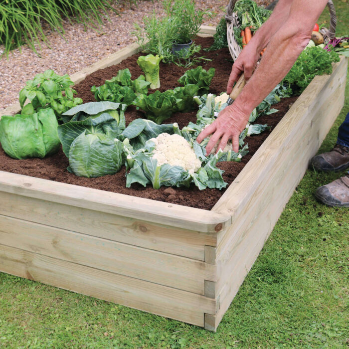 Zest Medium Sleeper Raised Bed