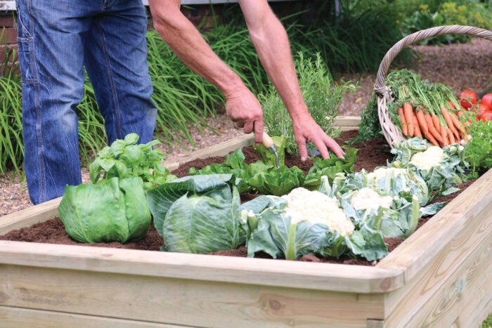 Sleeper Raised Bed