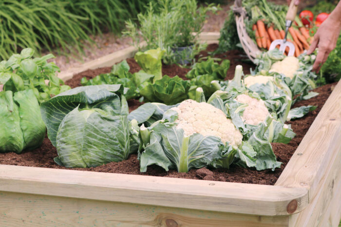 Sleeper Raised Bed