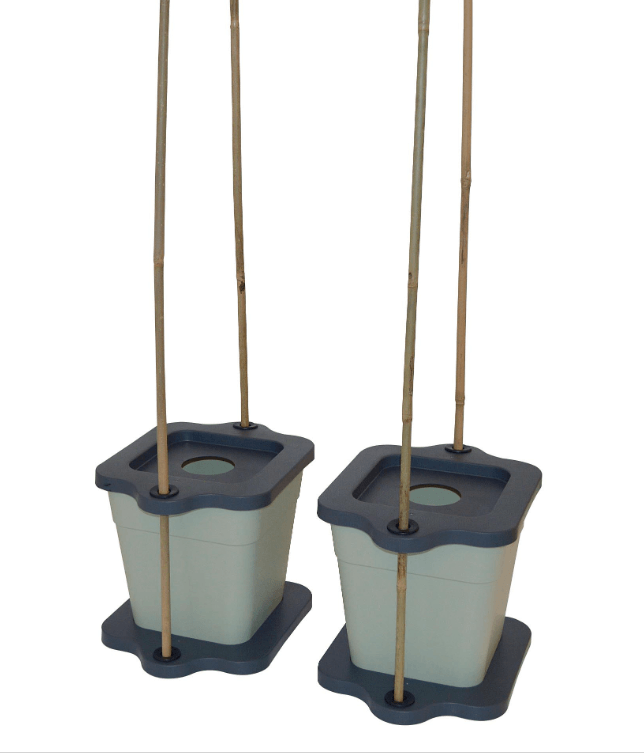 Cane Grip Grow Pots - Qty 2 - Image 5