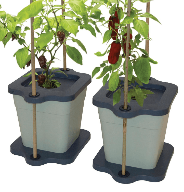 Cane Grip Grow Pots – Qty 2