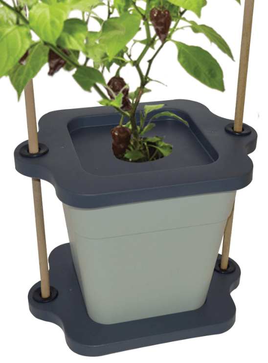 Cane Grip Grow Pots - Qty 2 - Image 6