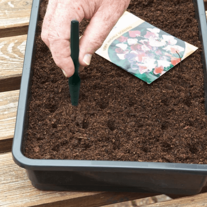 Garland Plant & Seed Dibbers