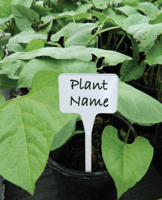Garland White Plant Labels