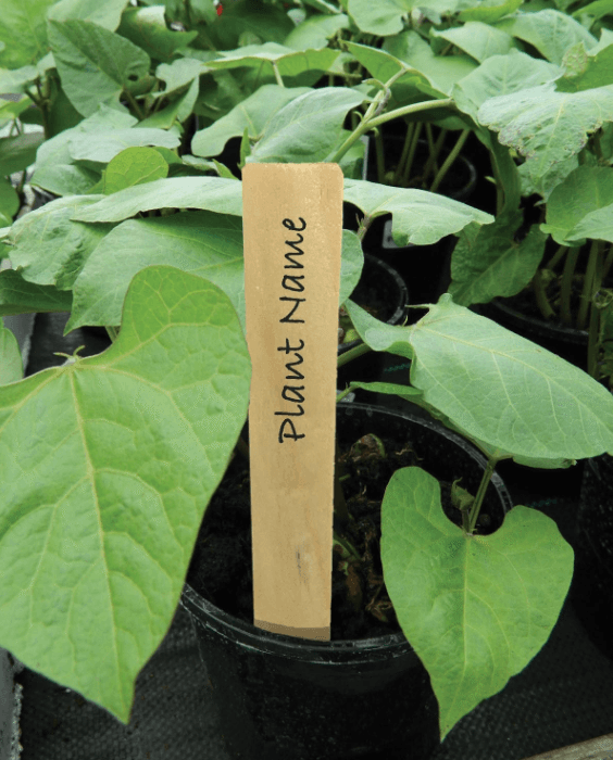 Garland Wooden Plant Labels