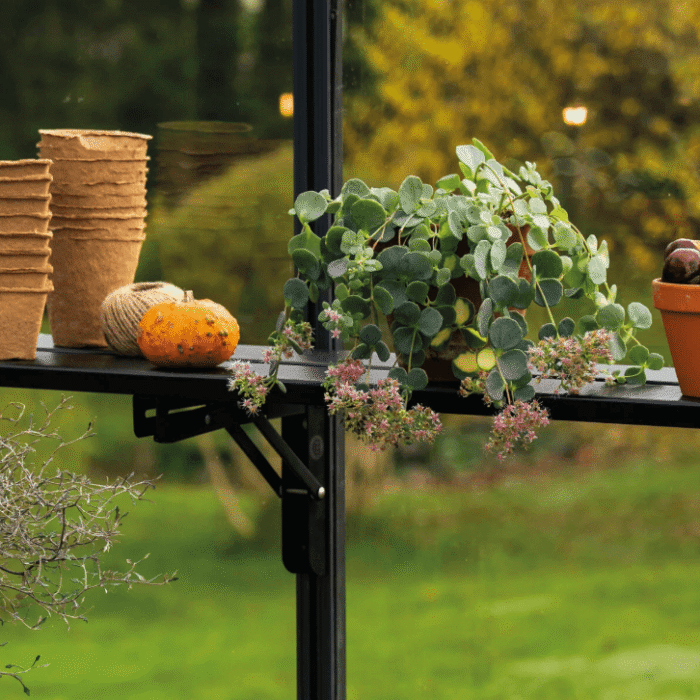 Juliana Foldable Integral Shelf