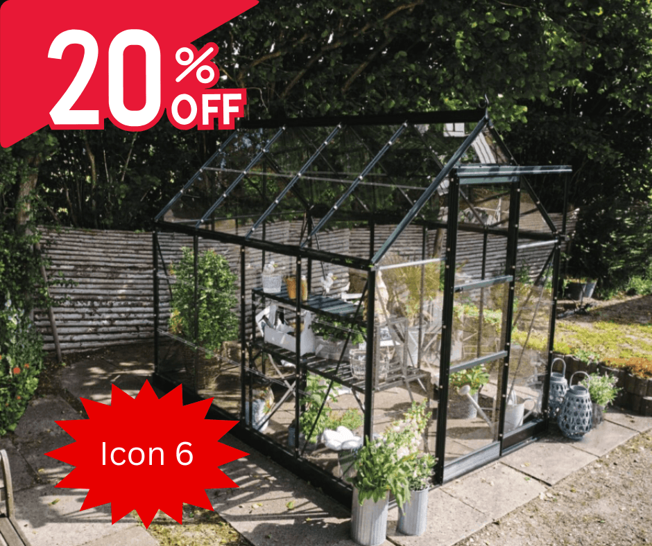 Halls Icon 6 20% Sale 