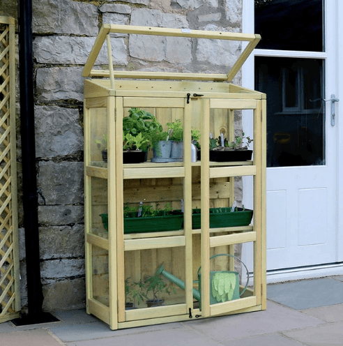 Zest Compact Botanical Greenhouse - Image 2