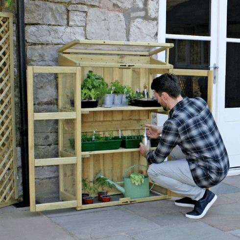 Zest Compact Botanical Greenhouse - Image 3
