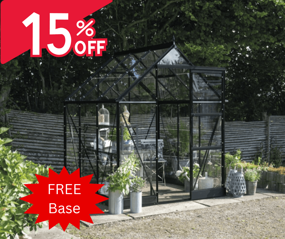 Halls Icon 6 15% Off with Free Base